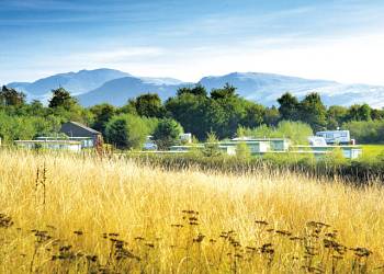 Seven Acres