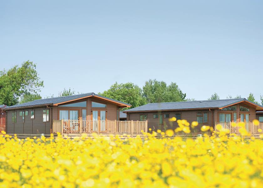 Sandy Meadows